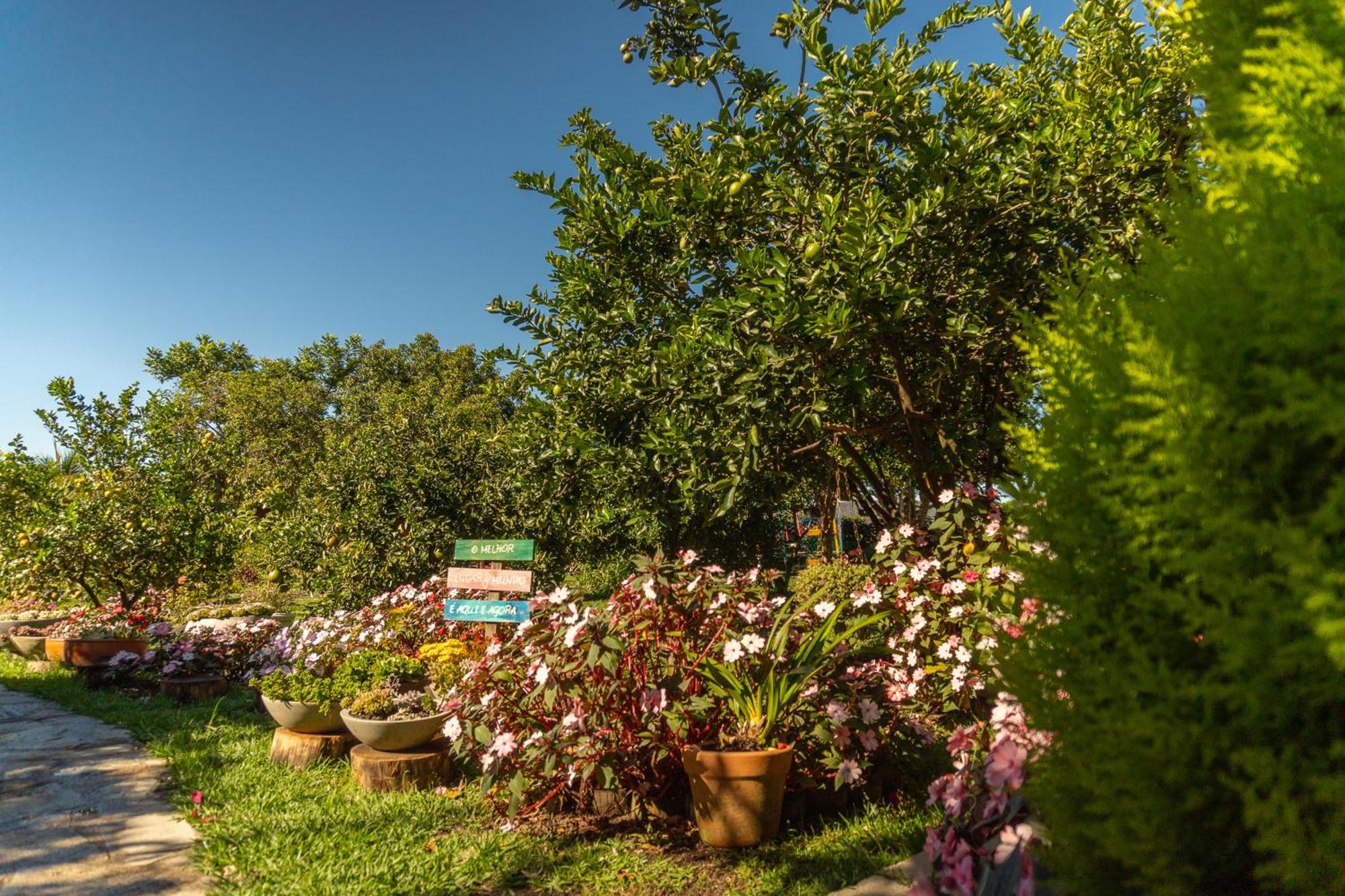 Vila Da Mata Chales Alto Paraíso de Goiás 외부 사진