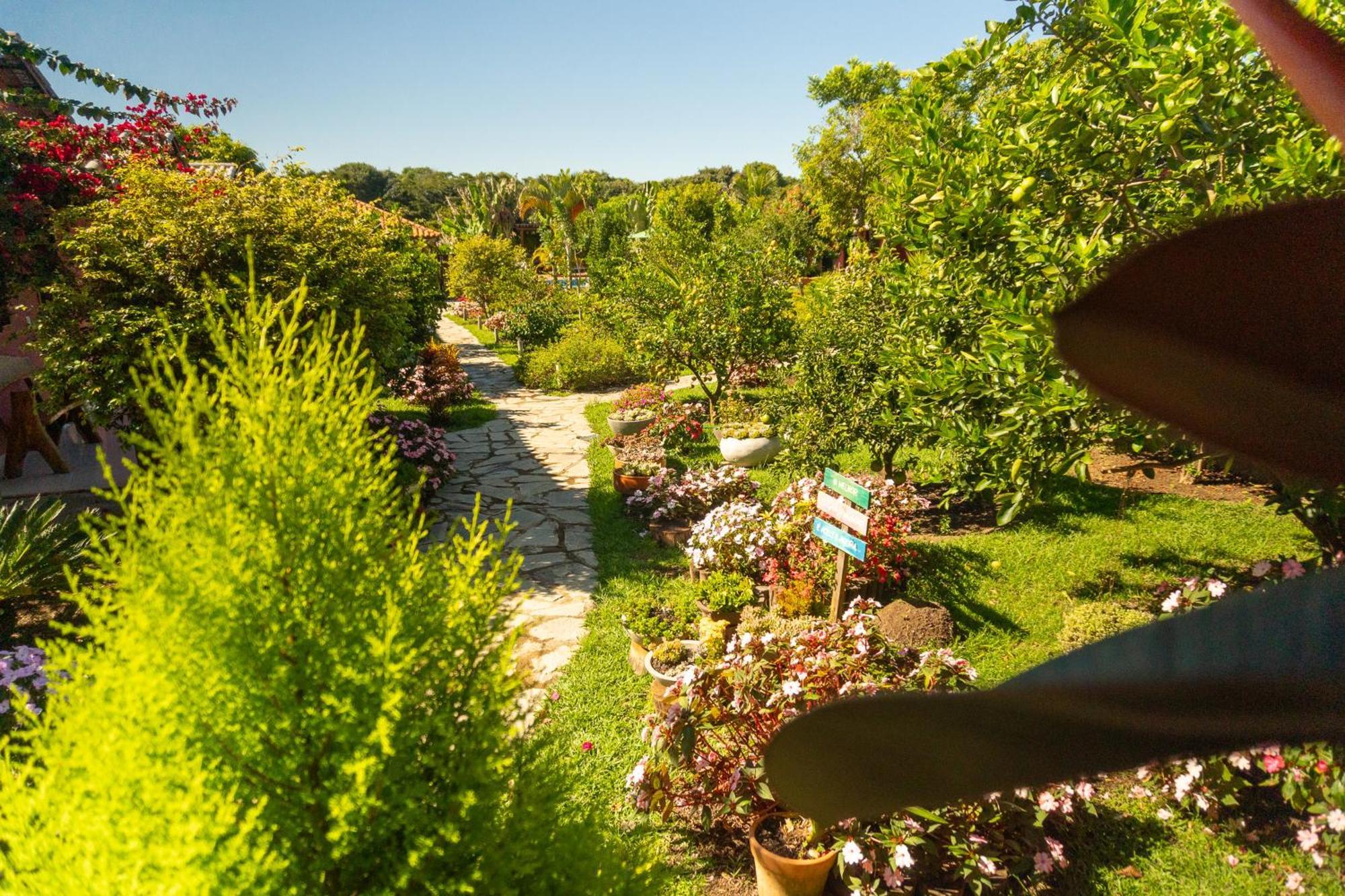 Vila Da Mata Chales Alto Paraíso de Goiás 외부 사진